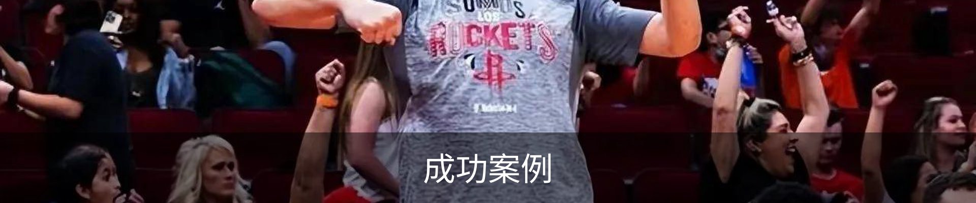 成功案例