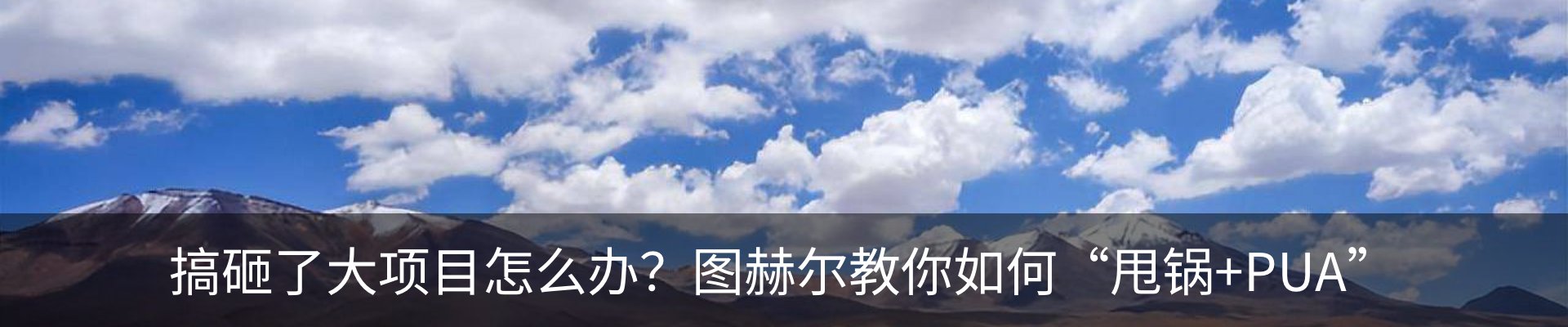新闻动态